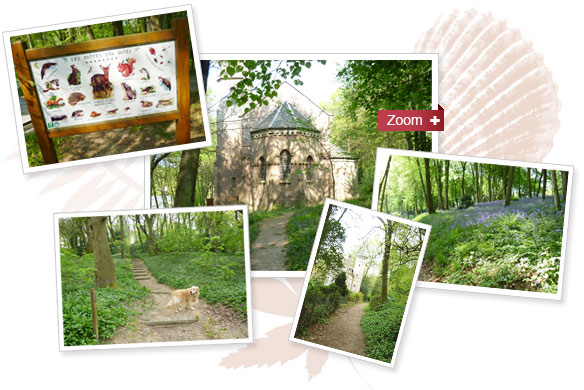 Divers photo du Bois de Cise